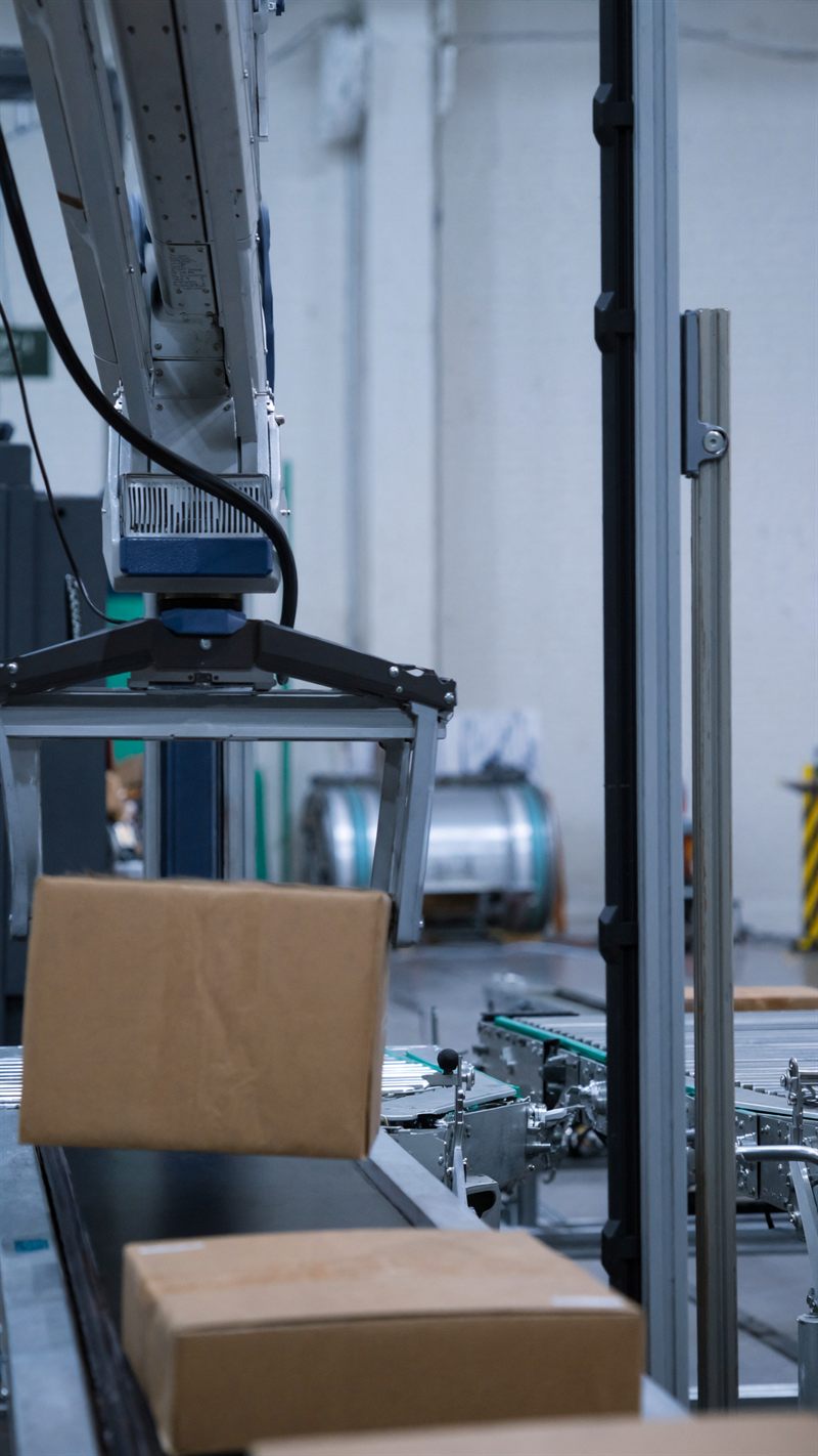 Automated conveyor and robotic sorting system moving parcels